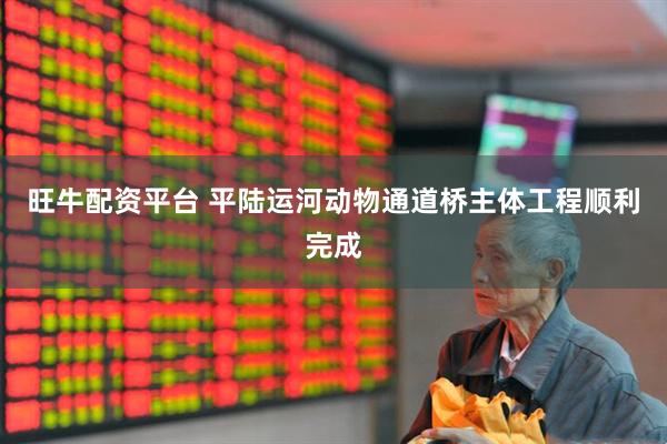 旺牛配资平台 平陆运河动物通道桥主体工程顺利完成